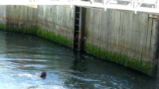 P.E.I Basin Head bridge Flip