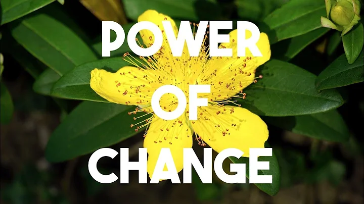 JOHN'S STORY: DON'T LET YOUR CIRCUMSTANCES DEFINE YOU  #WISDOM #INSPIRATION