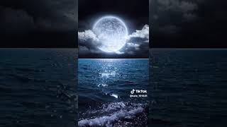Move in silence by nate harrow  lyrics video 