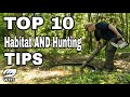 Top 10 Deer Habitat and Hunting Tips for Small Parcels
