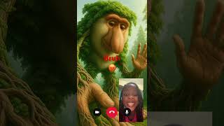 February 13, 2026 Profile