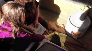 Kids read to cats in Berks County, Pa.