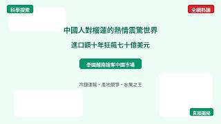 【水果之王的真正加冕】營養密度與種子傳播策略一次看懂