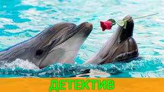 Они Стали Свидетелями Преступления (Зарубежный Детектив) | Лучшие Фильмы