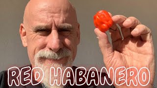Red Habanero Pepper Cl Here We Go
