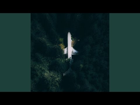 Fly