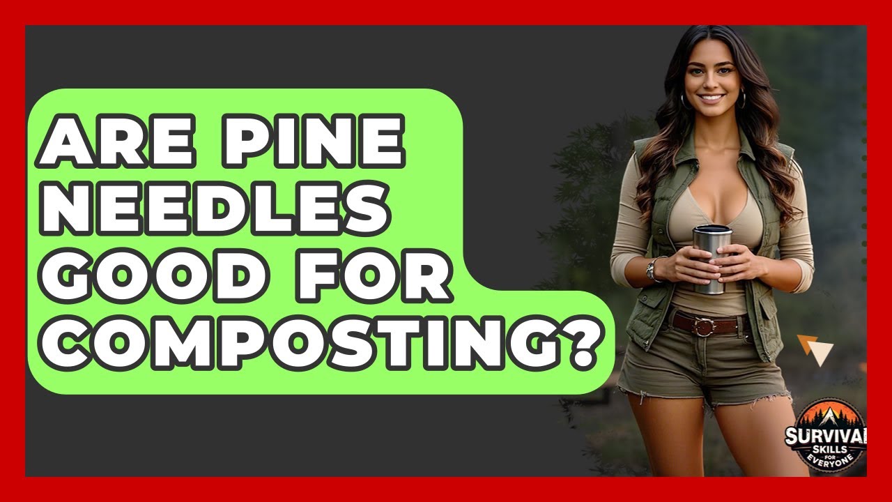 Are Pine Needles Good For Composting? - Survival Skills for Everyone