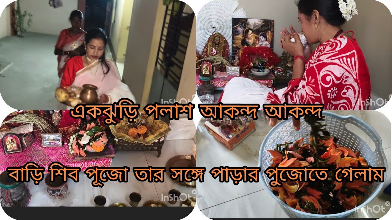 এক ঝুড়ি পলাশ আকন্দ, বারির শিব পুজো, তার সঙ্গে পাড়ার পুজোতে গেলাম
