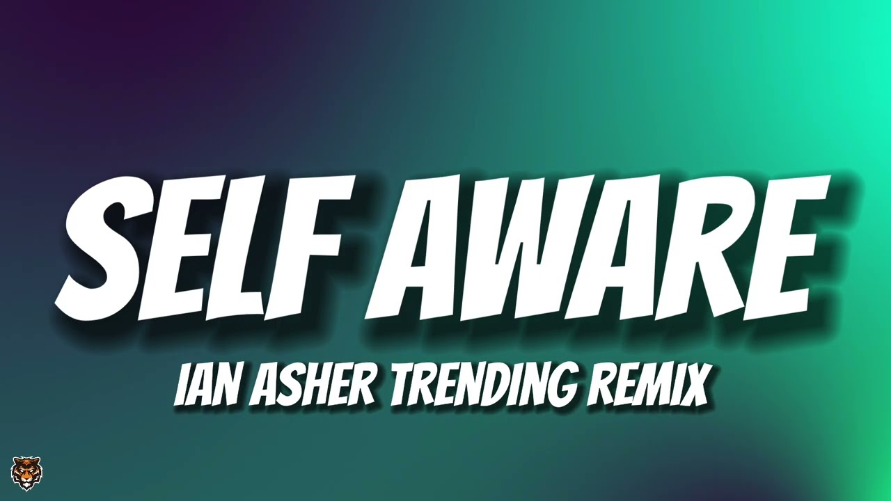 Ian Asher - Way Too Self Aware (Remix) 