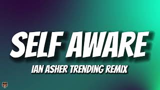 Ian Asher - Way Too Self Aware (Remix) \