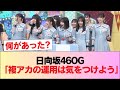 日向坂46OG「複アカの運用は気をつけよう」 #日向坂46 #日向坂 #日向坂で会いましょう #乃木坂46 #櫻坂46