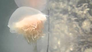 P1010089
