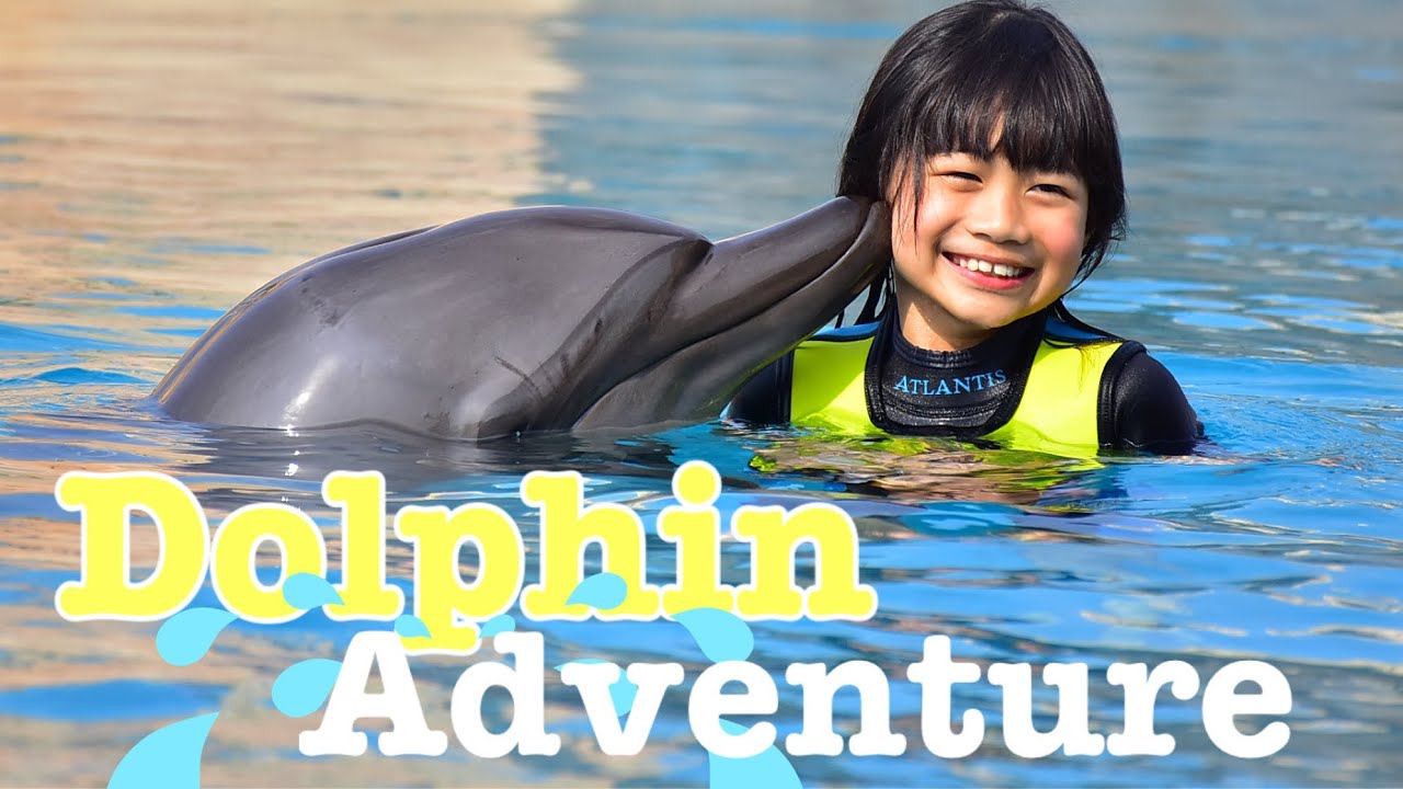 Dolphin Adventures @ Aquaventure Waterpark