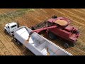 Wheat Harvest 2019 Grandpa can't hit the truck!