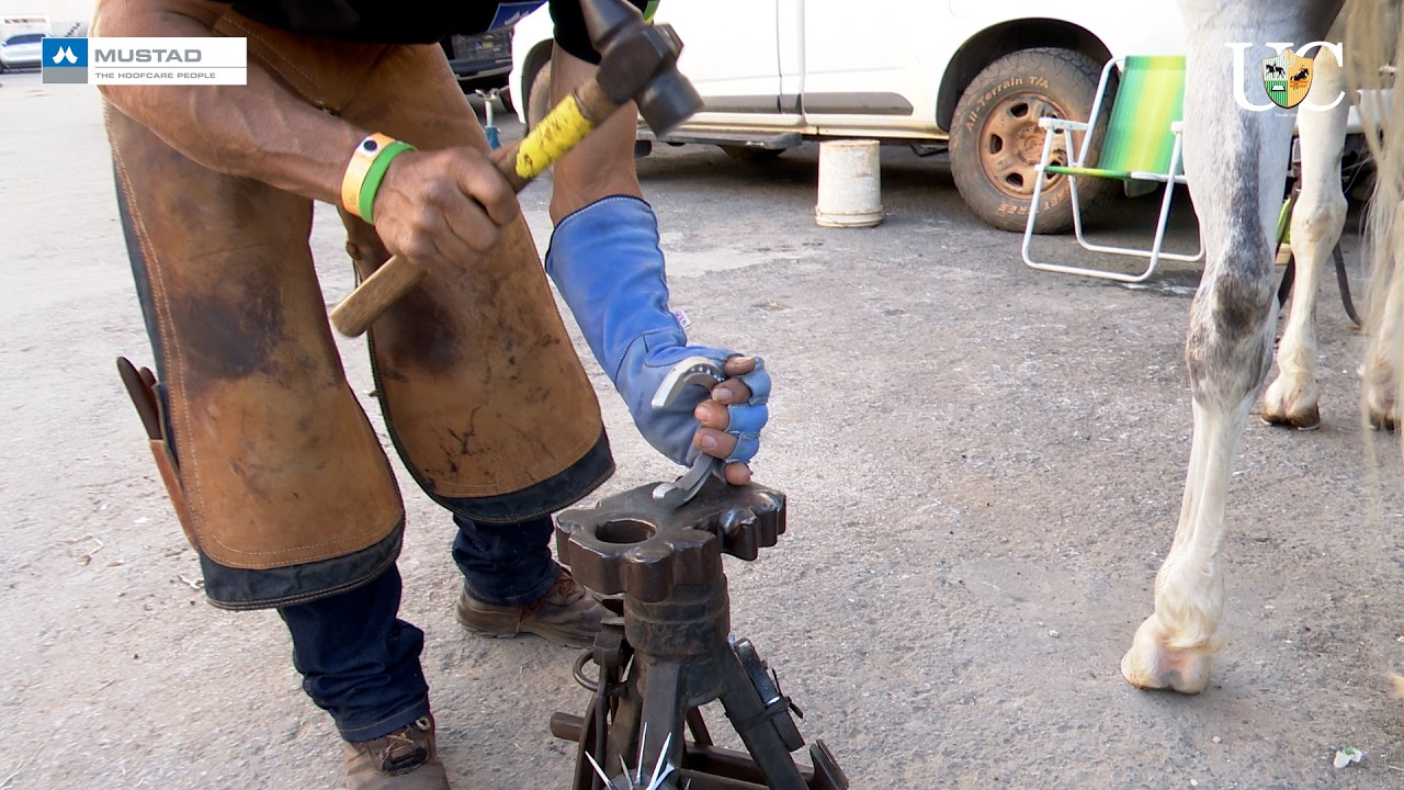 Usando stall jack e cravo hammer head