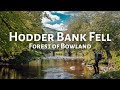 Hodder bank fell  lancashire walks  hidden gems  forest of bowland  5 mile walk