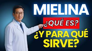 Myelin: What is it and what is it for? —Dr. Mario Wong Myelin: What is it and what is it for? —Dr. Mario Wong