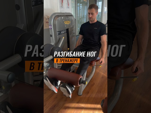 Разгибание ног в тренажере