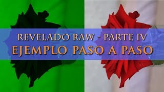 Ejemplo procesado fichero RAW