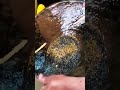 Gold Panning Magic! You Won’t Believe This 🔥 #gold #viral #traditionalmethod #goldhunt