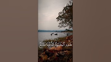 سورة غافر | محمد صديق المنشاوي | تلاوة رائعة ❤️