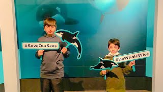 Orcas At The Royal Bc Museum