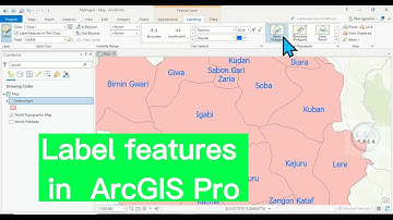 ArcGIS Pro tutorial: How to label features in ArcGIS Pro