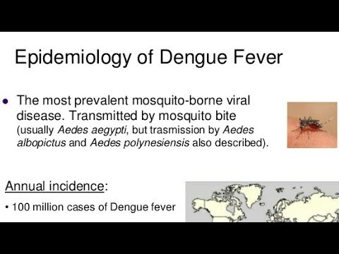 Video: Periodická Ohniska Dengue A Epidemiologické Trendy V Nepálu