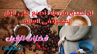 لن تصدق من ماذا تصنع اغلى انواع القهوة فى العالم