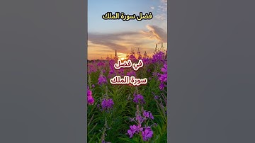 فضل سورة الملك #حديث #اكسبلور #مسلم #اسلام  #اقتباسات #ترند #حكمة_اليوم #بودكاست #تيك_توك #sorts