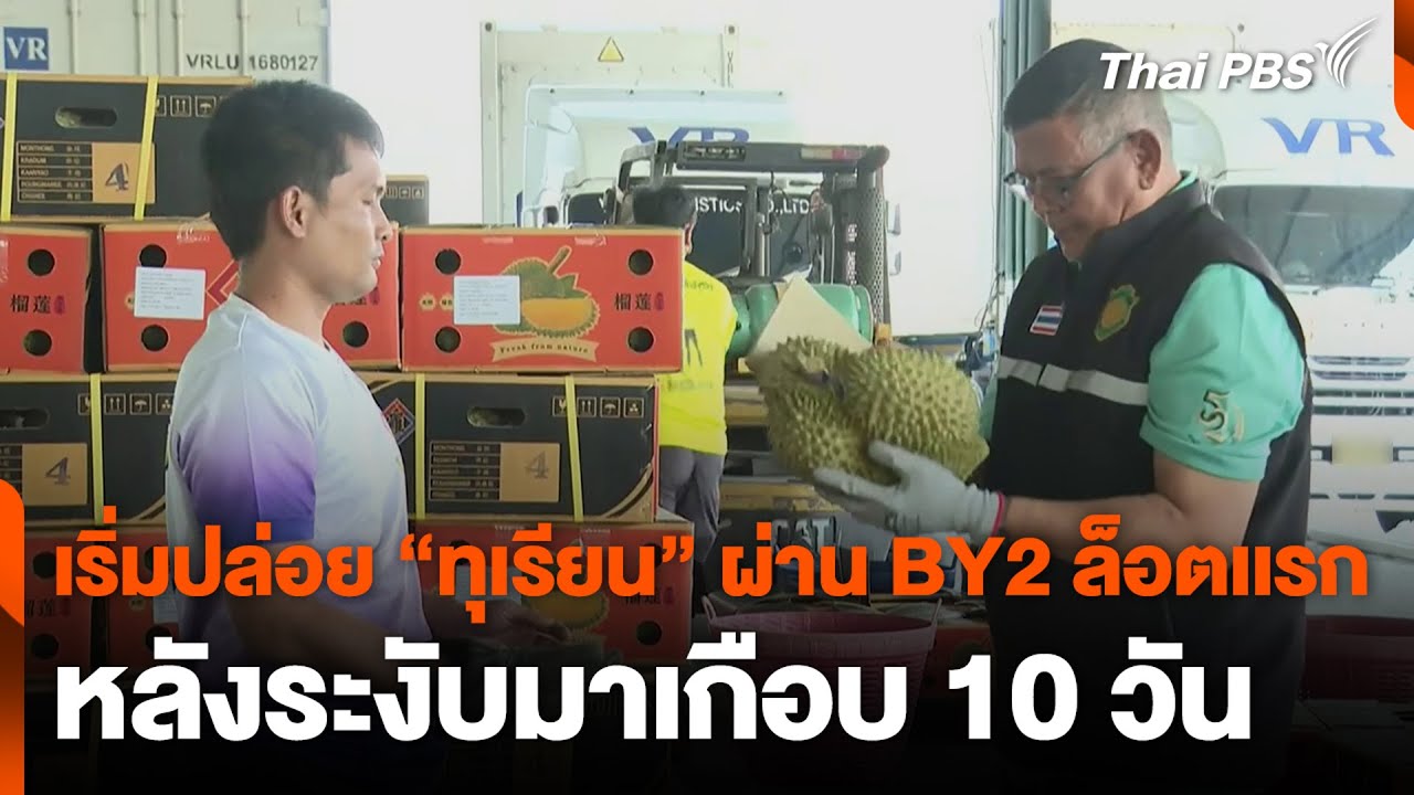 เริ่มปล่อย “ทุเรียน” ผ่าน BY2 ล็อตเเรก หลังระงับมาเกือบ 10 วัน | วันใหม่ ไทยพีบีเอส