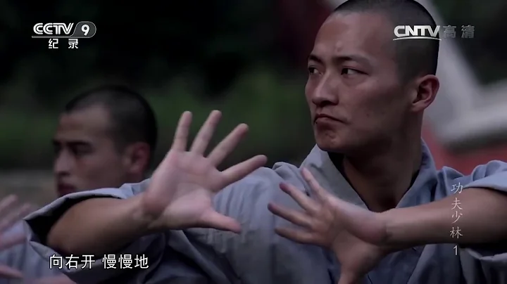 KUNG FU SHAO LIN (1) - The Secret Teachings (CCTV ...