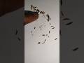 Masala Magic tricks youtube shorts video #youtubeshorts #birdsphotography #birdsounds #magician