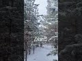 Маленькая часть большого Алтая #горызовуттехчьядушаимпоросту #горыалтай #природаалтая #регион22