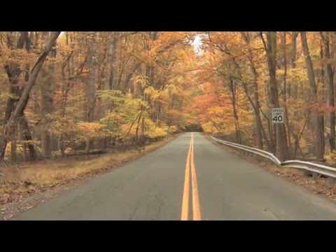 Hellberg & Tobu - Sprinkles