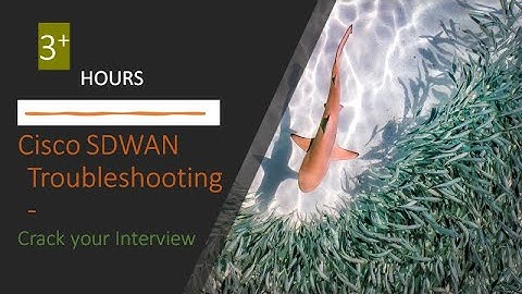 sdwan troubleshooting