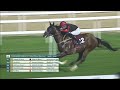 RM 2 Al Rayyan Race 4 - Al Hamla Cup