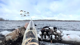 Duck Hunting Big Water Late Season Divers! (Last Duck Hunt)