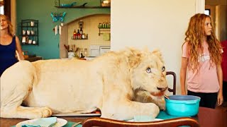 She DIDN'T KNOW that her adopted KITTEN was actually a GIANT WHITE LION - RECAP