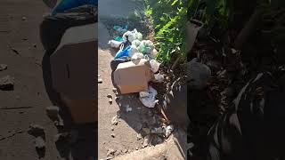 #arrumeitudinho#compostagem#mineraçãourbana#folhagens#substrato#insumos#othofercompostagemiporágoiás
