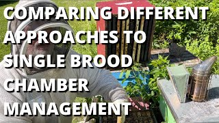 Comparing different approaches to Single Brood Chamber Management