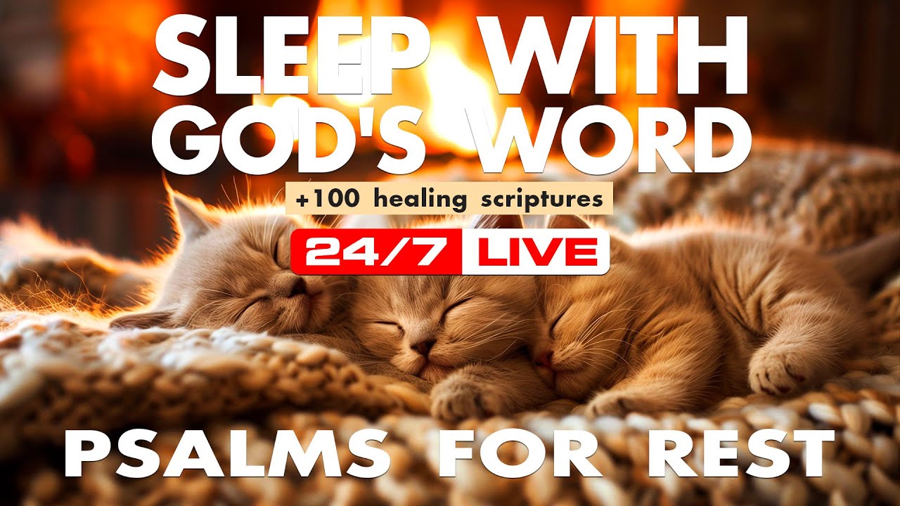 🐈 Sleeping Kittens by Fireplace 24/7 | 📖 Scripture Reading & Fire Sounds