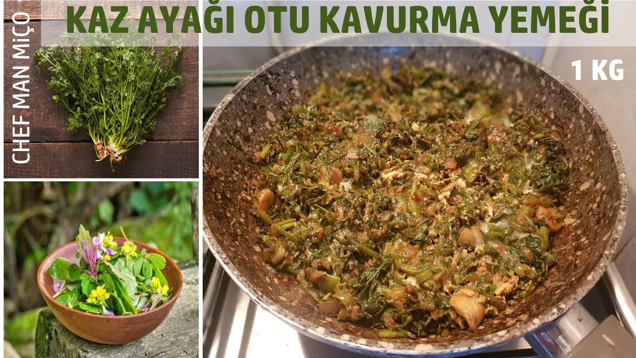EĞENİN ŞİFA KAYNAĞI KAZ AYAĞI OTU KAVURMA YEMEĞİ NASIL PİŞİRİLİR // YEMEK TARİFLERİ EĞENİN ŞİFA KAYNAĞI KAZ AYAĞI OTU KAVURMA YEMEĞİ NASIL PİŞİRİLİR // YEMEK TARİFLERİ