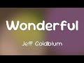 Jeff Goldblum Cynthia Erivo Ariana Grande Wonderful Lyrics 