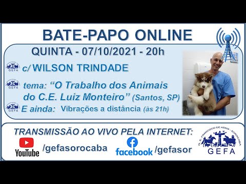 Assista: Bate-papo Online - c/ WILSON TRINDADE (08/10/2021)