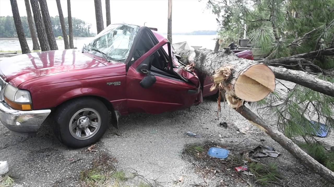 Mistletoe State Park Storm Damage Youtube