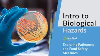 HACCP 101: Exploring Pathogens and Food Safety Measures