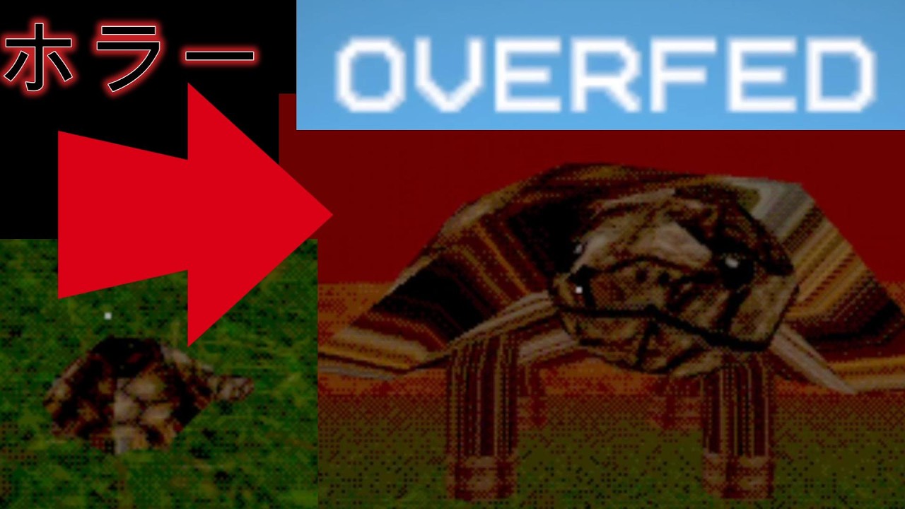 友達のいない僕は亀を飼い始めました【OVERFED（過食）】【ホラーゲーム（Horror Game）】 - YouTube
