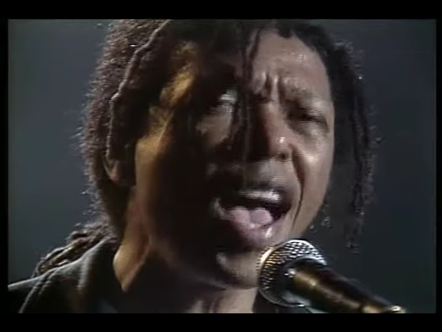 Djavan - Samurai (Ao Vivo) class=