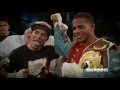 Hey Harold!: 2015 Breakout Fighter